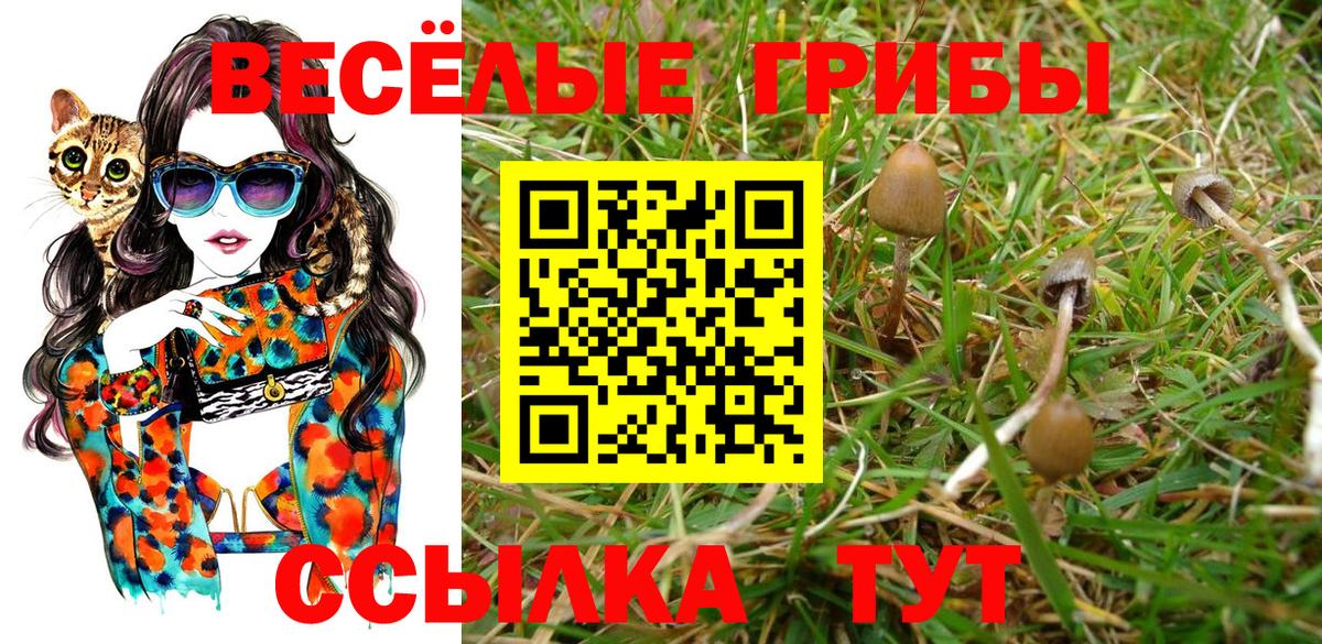 Унеча  Галлюциногенные грибы MAGIC MUSHROOMS  Псилоцибиновые грибы мухоморы  Вход с VPN 